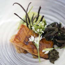 Grilled salmon glazed with unagi & Japanese mustard soy