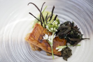 Grilled salmon glazed with unagi & Japanese mustard soy