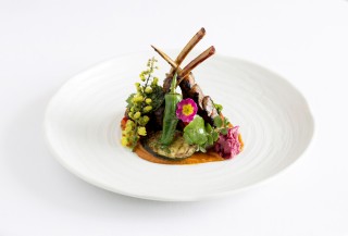 Spring lamb cutlets pickled Japanese rose