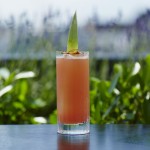 South Pacific cocktail at aqua nueva